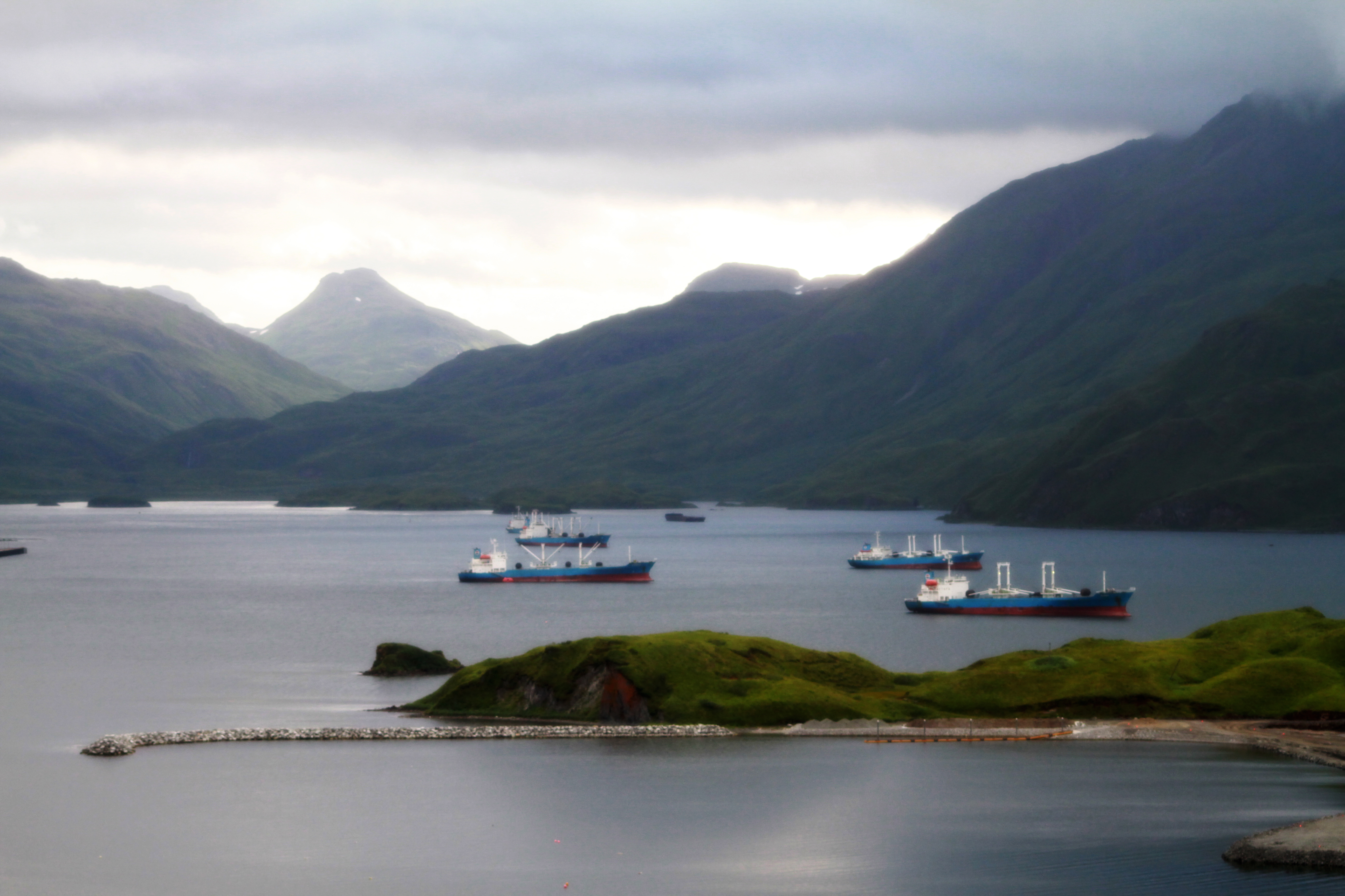 Boats in Captain's Bay (Photo by Pipa Escalante)