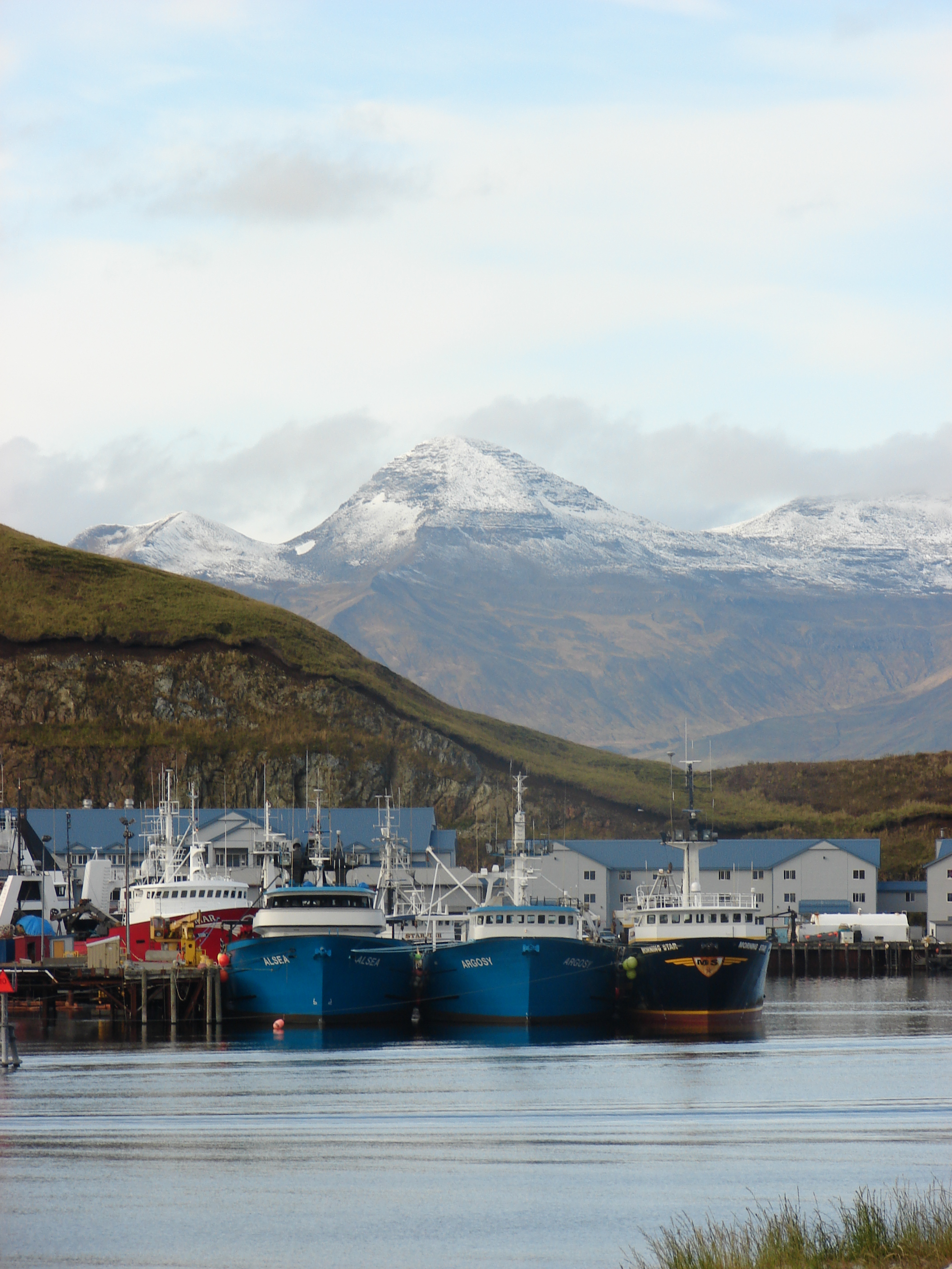 Fishing Boats at Unisea Dock (Photo by Albert Burnham)