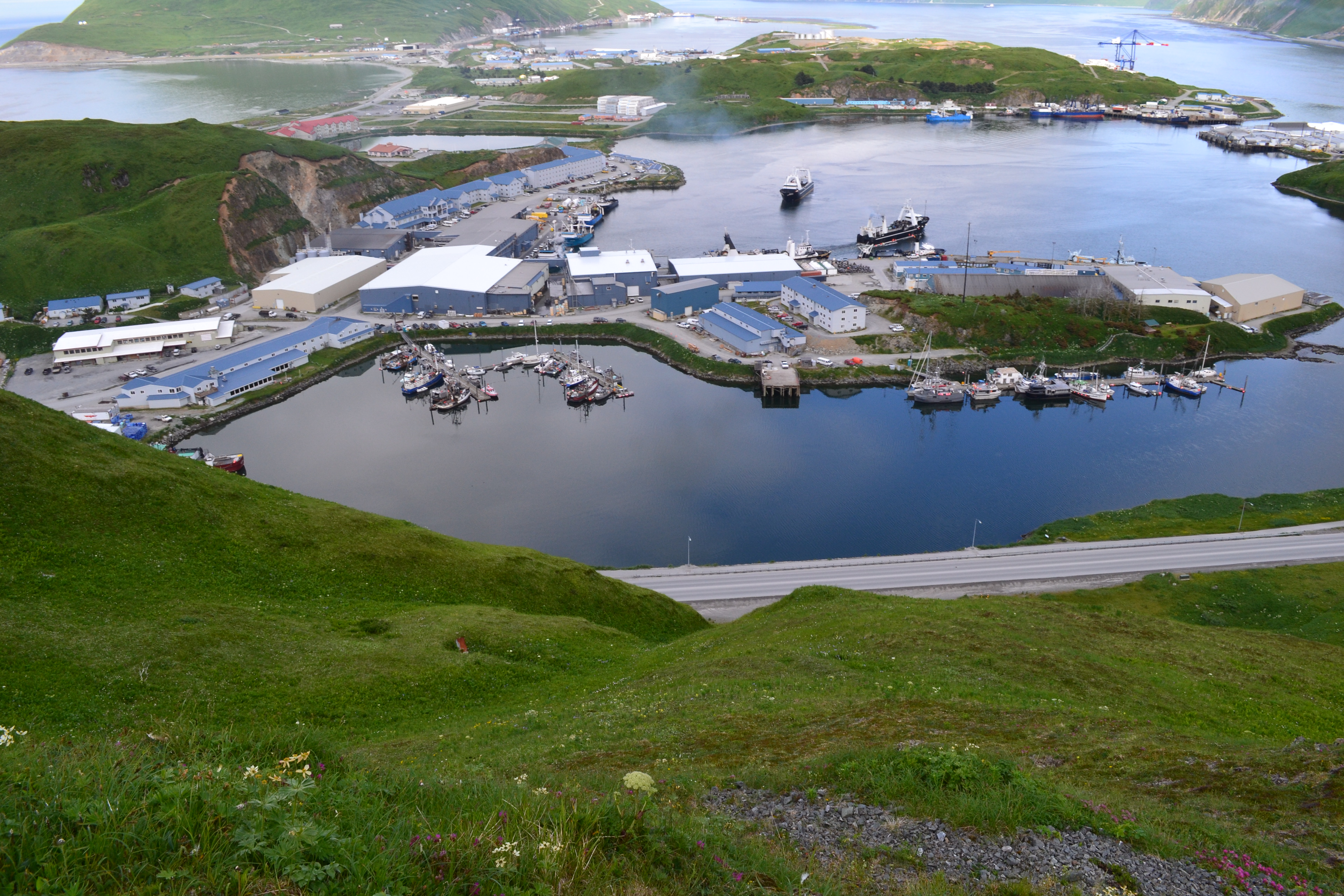 View of Unisea and Storrs Harbor (Photo by Angel Shubert)