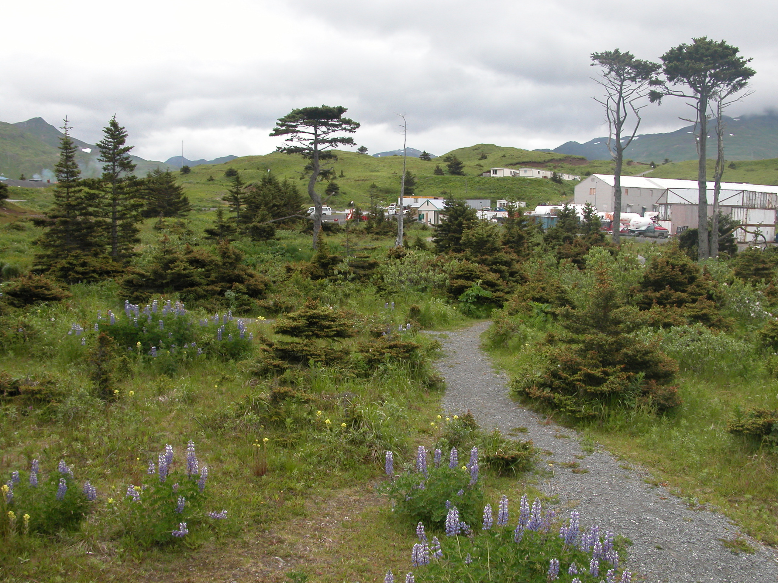 Sitka Spruce Park (Photo by Pretzel Arpilleda)