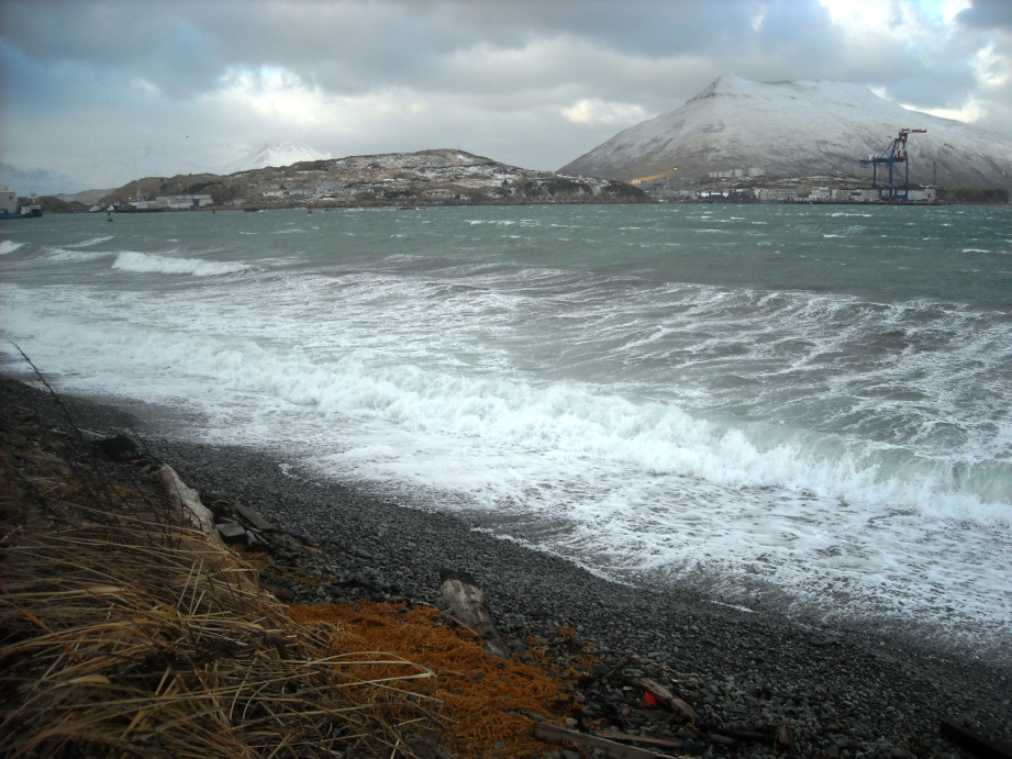 Waves on Front Beach