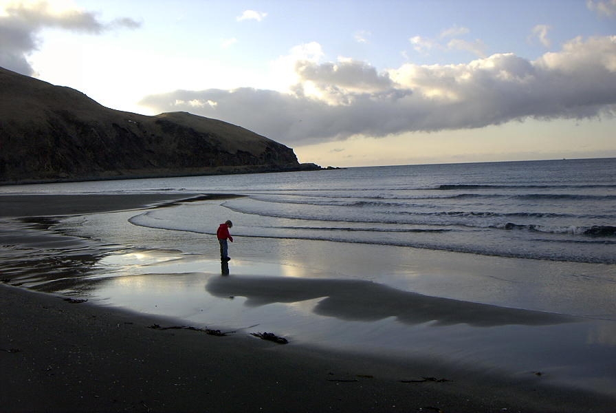 Walk on the Beach at Summer Bay (Photo by Jacob Whitaker)