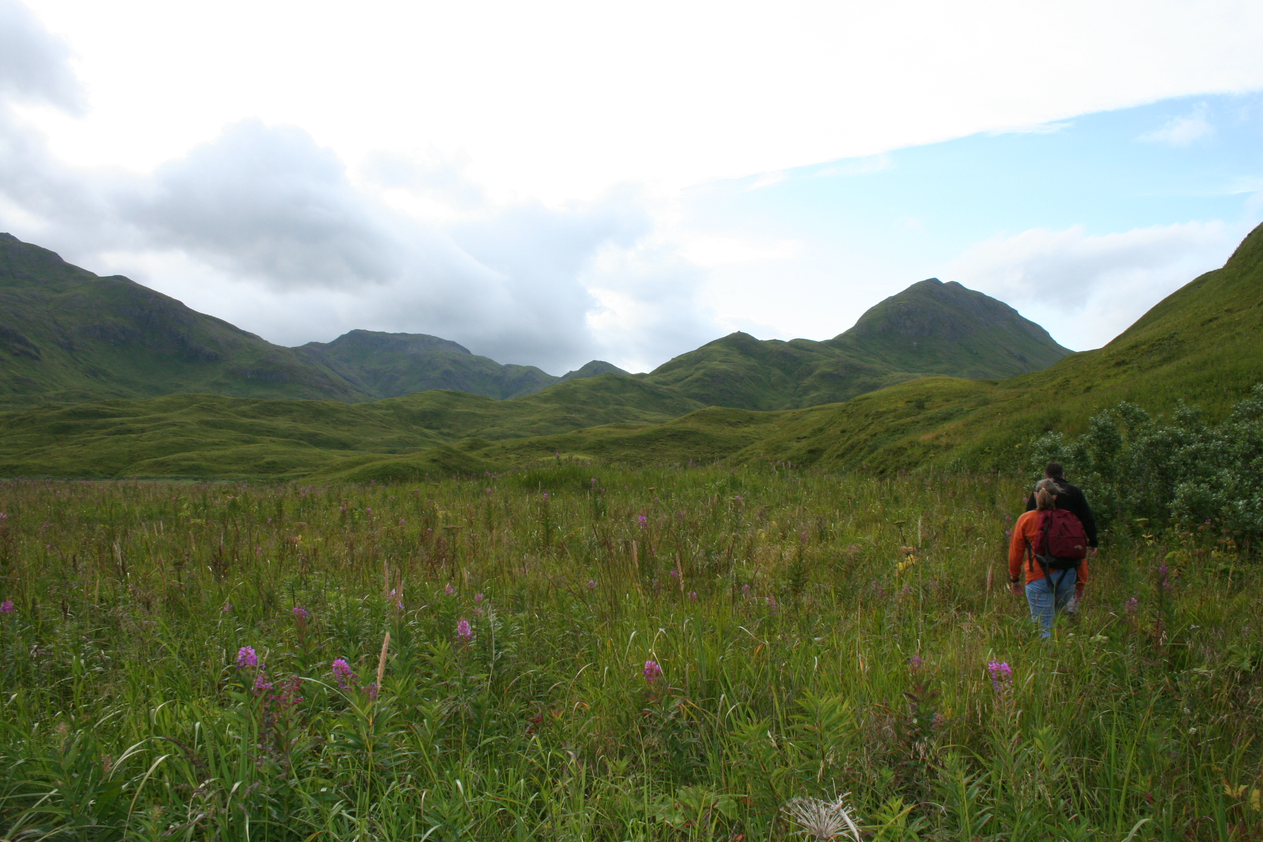 Hike to Ugadaga Bay (Photo by Tonya Miller)