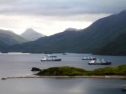 Boats in Captain's Bay (Photo by Pipa Escalante)