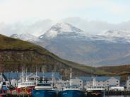 Fishing Boats at Unisea Dock (Photo by Albert Burnham)