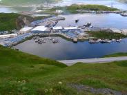 View of Unisea and Storrs Harbor (Photo by Angel Shubert)