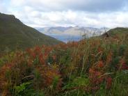 Fall foliage on Ulakta Head (Photo by Marjie Veeder)