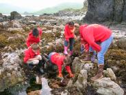 PCR tidepooling program