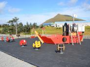 Sitka Spruce Field Playground