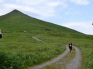 Ballyhoo Mountain Race.