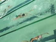 Triathalon Swimmers