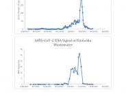 Graphs of Clinical Cases and SARS-CoV-2 RNA signal