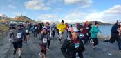 Polar Bear Run 