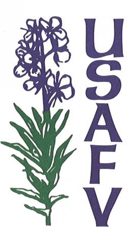 USAFV logo