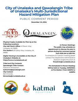 MJHMP Flyer