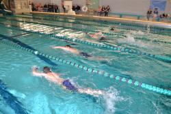 Triathalon Swimmers
