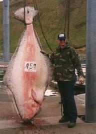 World Record Halibut