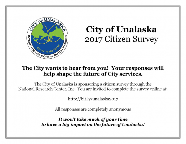 2017 Citizen Survey