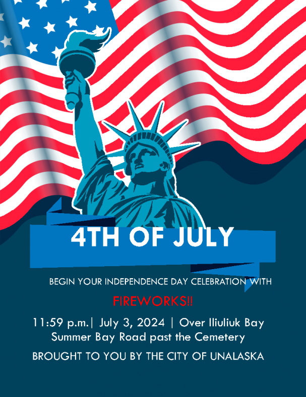 4th of July Fireworks Display