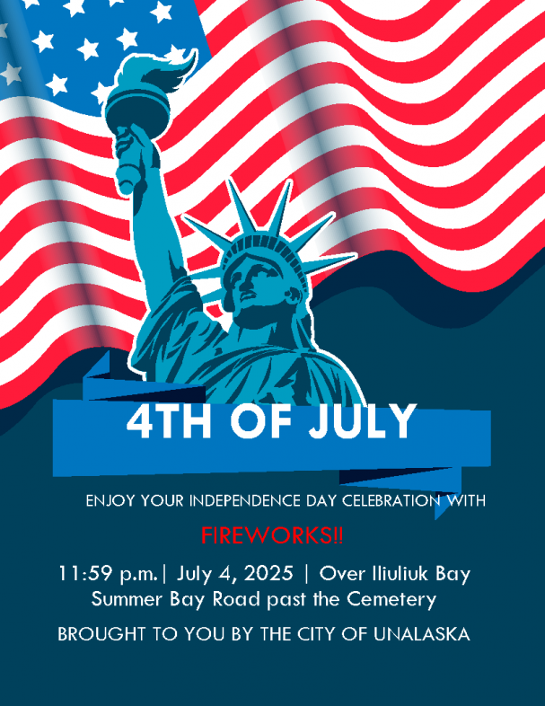 4th of July Fireworks Display