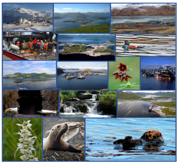 Various Photos of Unalaska