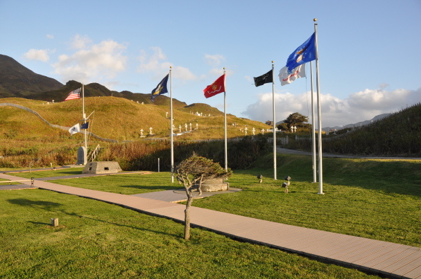 Flags at Memorial Park