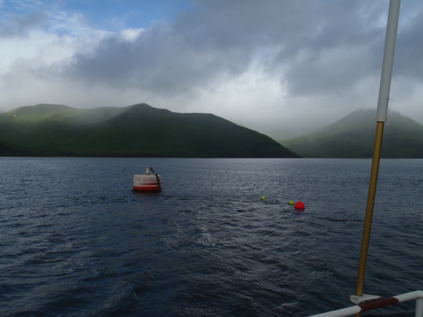 Emergency Mooring Buoy floating in Broad Bay.