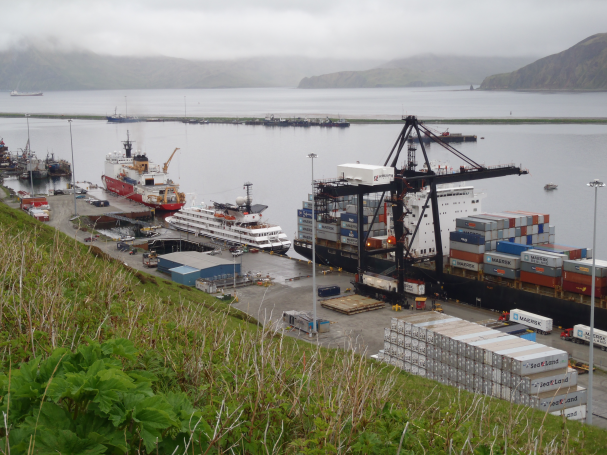 Cruise ship and USCG Healy at UMC Dock