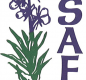 USAFV logo